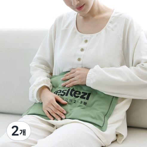 테슬테즐 강화약쑥 배 허리 찜질팩 ZJT-1N, 2개