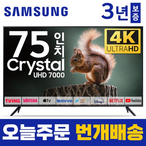 삼성65인치tv스마트led 삼성 75인치 TV 4K UHD 스마트TV 75CU7000 23년형 유튜브 넷플릭스, 1.매장방문