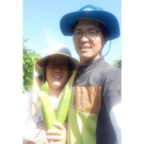 GAP 인증 국산 작두콩차, 자연의 건강함을 담은 한 잔