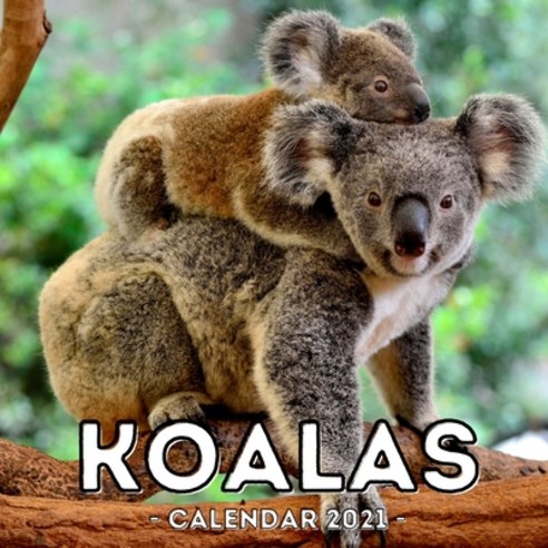 Koalas Calendar 2021: 16-Month Calendar Cute Gift Idea For Girls & Men Paperback, Independently Published, English, 9798741364437
