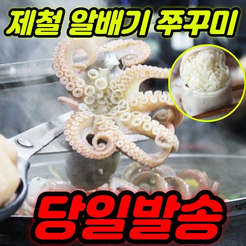 [신선포장] 샤브샤브 제철 알배기 생물 활 쭈꾸미 1kg