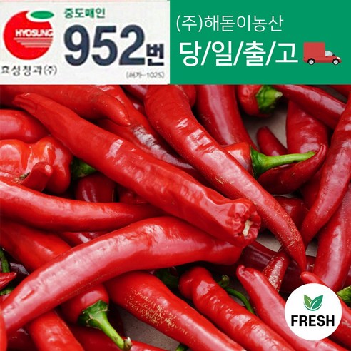 <해돋이농산> 국내산 햇홍고추 빨간고추 붉은고추 상품 특품 5kg 1박스 (10kg내외), 10kg 상품(못난이), 1개”></div>
<div style=