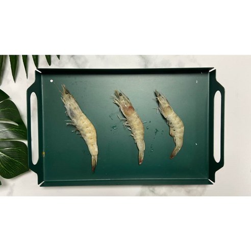 청정 해역에서 갓 잡아온 탱글한 흰다리새우