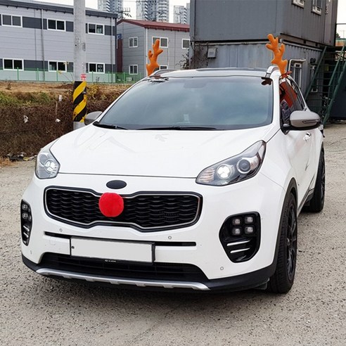 예쁘고 실용적인 크리스마스 장식