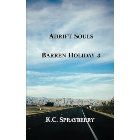 Adrift Souls Paperback, Solstice Publishing, English, 9781625267962