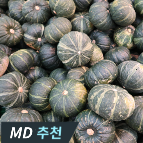 [고니네농수산] 달콤함 가득 제주 미니 단호박 밤호박 보우짱, 1개, 5kg(7-17과)