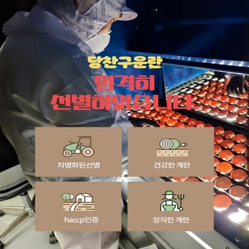 신선하고 풍부한 맛을 즐길 수 있는 고품질 구운계란