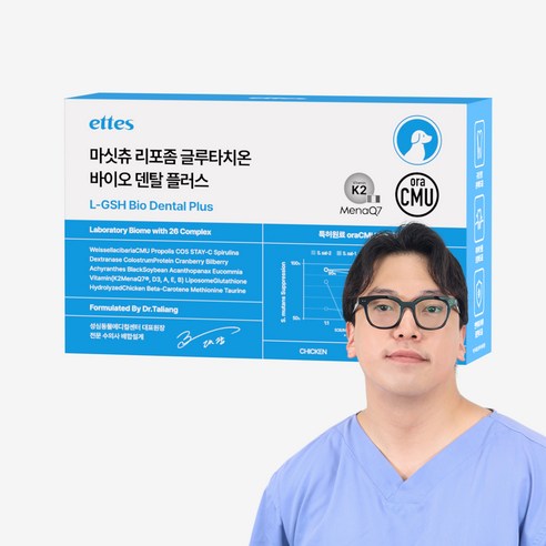 마싯츄 강아지 구강 덴탈, 4개, 구강/치석관리