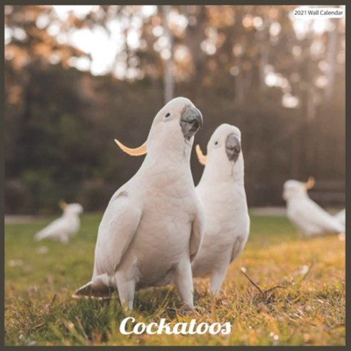 Cockatoos 2021 Wall Calendar: Official Cockatoo Wall Calendar 2021 Paperback, Independently Published, English, 9798577114282