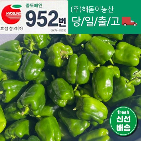 해돋이농산 국내산 청피망 초록피망 못난이피망 1kg 2kg 3kg 5kg 10kg