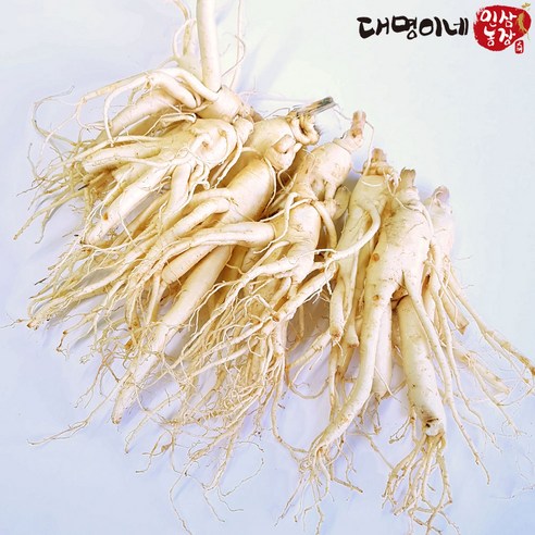 금산인삼 5년근 6년근 세척 무세척 수삼 가정용, (세척)원삼 30~40뿌리-750g, 1개