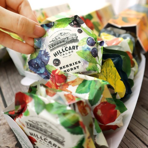 힐카트 테일즈 마스터 컬렉션 샘플키트 14 모슬린 티백 허브차 녹차 홍차 Hillcart Tales, 31.5g, 14개입, 1개