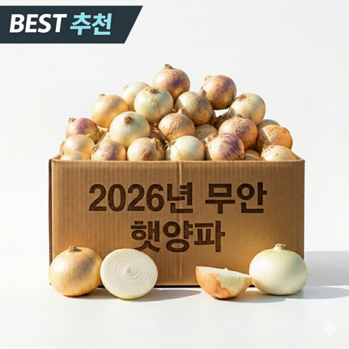 [품질보장] 2026년 무안 햇양파 최상품