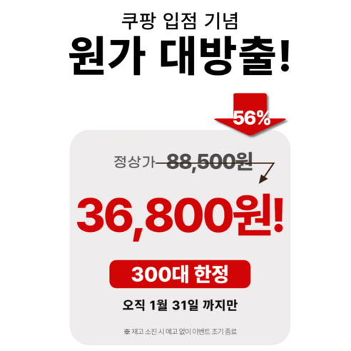 주방에 피어나는 아름다움과 실용성, 짐머만 플로라 멀티 쿠커