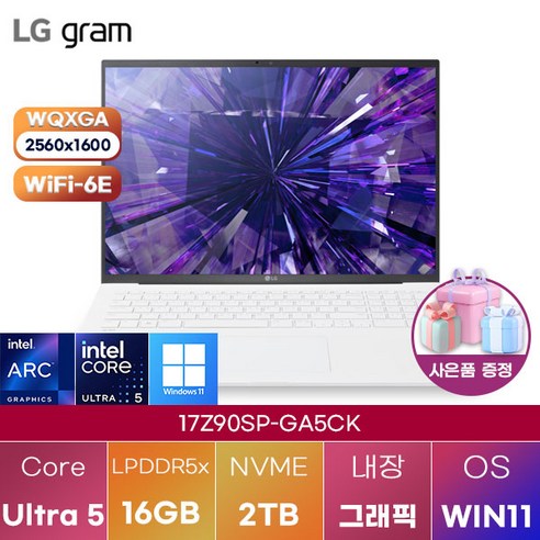 LG 그램 프로17 17Z90SP-GA5CK 윈도우11 신제품 대학생 인강용 업무용 사무용 포토샵 영상편집 고성능 가성비 노트북, WIN11 Home, 16GB, 256GB, 에센스 화이트