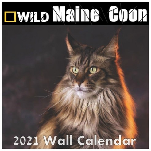 Maine Coon calendar 2021: Maine Coon calendar 2021 "8.5x8.5" Inch 16 Months JAN 2021 TO APR 2022 fin... Paperback, Independently Published, English, 9798584888183