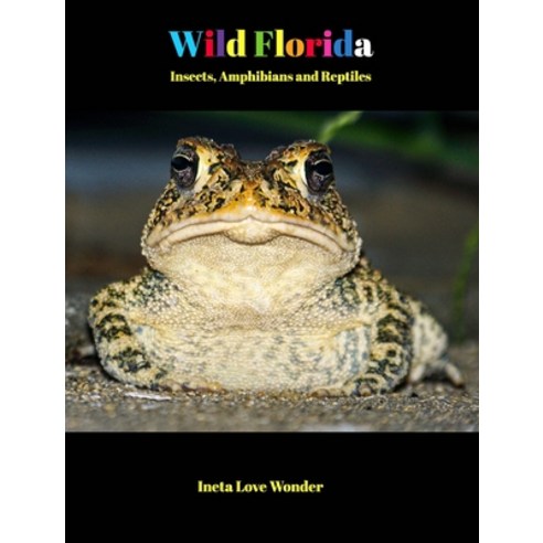 (영문도서) Wild Florida: Insects Amphibians and Reptiles Hardcover, Blurb, English, 9798211719415