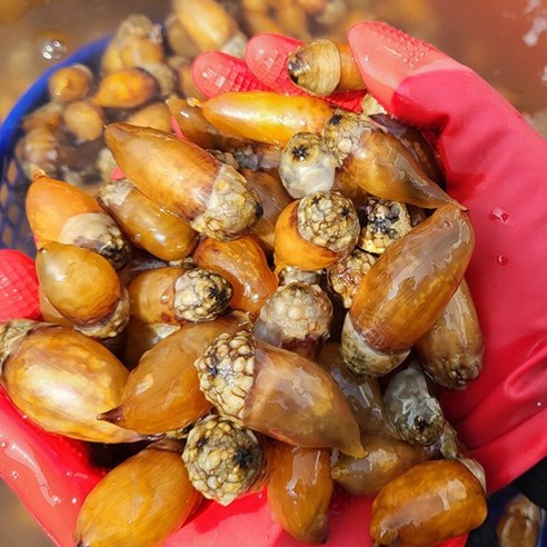 바다 향기 가득한 식탁, 미더덕으로 봄을 느껴보세요!