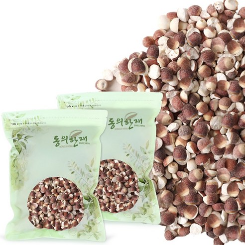 동의한재 햇 검인 감인 가시연밥 가시연꽃 씨앗 300g+300g, 1개