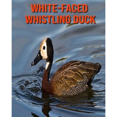 White-Faced Whistling Duck: Amazing Facts about White-Faced Whistling Duck Paperback, Independently Published, English, 9798552060290