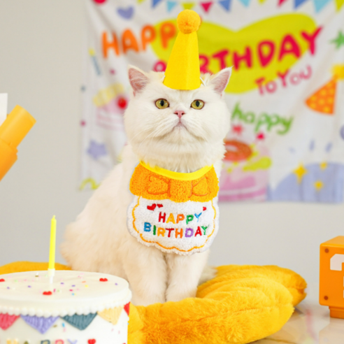 고양이 생일 파티 고깔 모자 케이프 세트 강아지 돌잔치 반려묘 반려견 꼬깔 애견 턱받이 용품 사진 소품 스카프 잔치, 1개, 노랑색