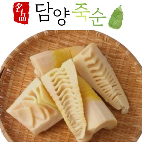 23년 국내산 담양 햇 죽순 삶은죽순 생죽순 대나무순 냉동죽순 1kg 2kg 죽순요리, 5개