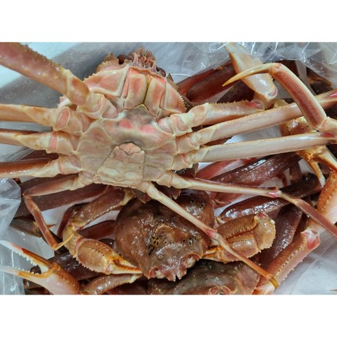 포항 구룡포에서 잡은 상질의 박달대게를 신선하게 즐기세요!