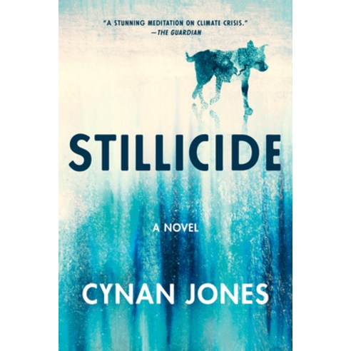 Stillicide Paperback, Catapult