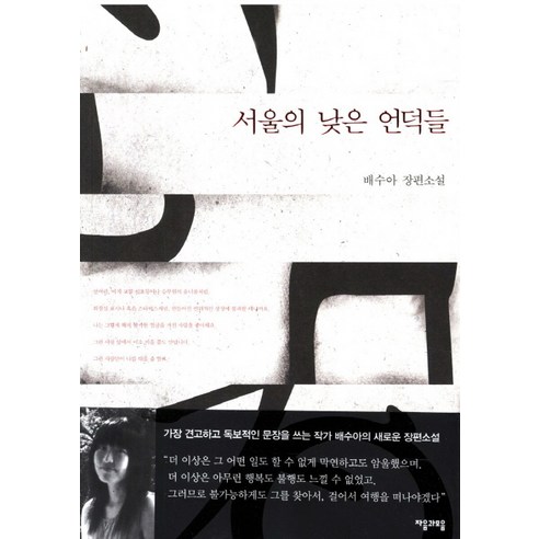 서울의 낮은 언덕들:배수아 장편소설, 자음과모음
