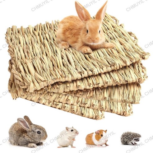 토끼 건강과 행복을 위한 스마트한 건초 급여