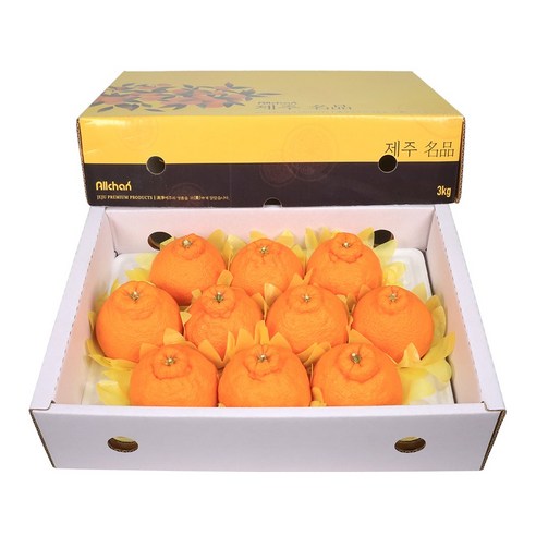 삼다몰 제주 한라봉 선물세트 3kg 5kg 10kg, 1박스
