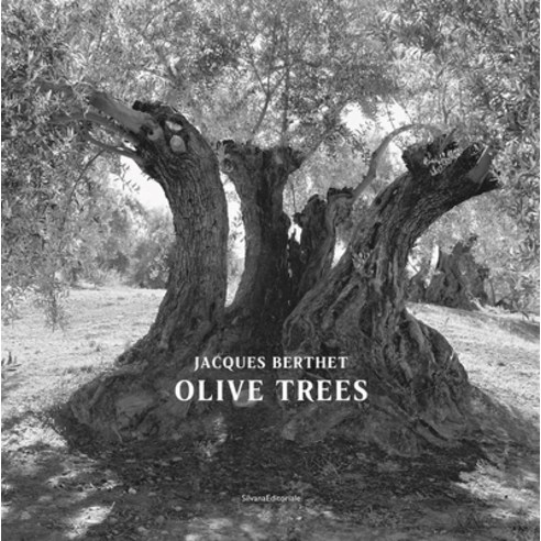 Jacques Berthet: Olive Trees Hardcover, Silvana Editoriale, English, 9788836645831
