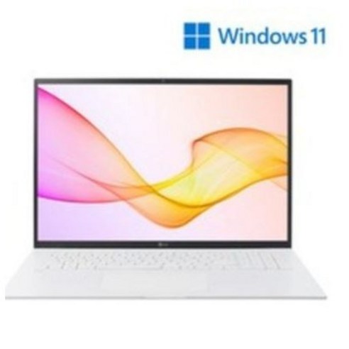 LG전자 2021 그램 17, 스노우 화이트, 코어i7 11세대, 512GB, 16GB, WIN10 Home, 17Z90P-GA76K