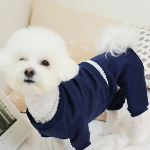 비즈펫 FW 강아지 캐쥬얼 점프수트 올인원 따뜻한소재, 1개, 그레이