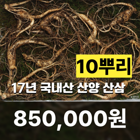 씨에이치쓰리 17년 국내산 산양 산삼 10뿌리, 1개, 100g