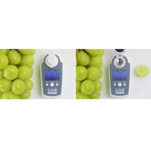 고당도의 달콤한 즐거움: 프리미엄 샤인머스켓