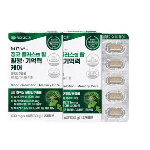 유한메디카 징코 플러스 엔 탑 혈행 기억력 케어 30g, 60정, 2개
