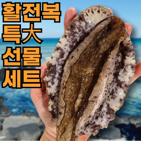 추석선물세트 프리미엄 완도 활전복 1kg 2kg 특대 왕특 당일조업 산지직송 선물세트 청정해역, 1세트, 1kg(8-9미)특대