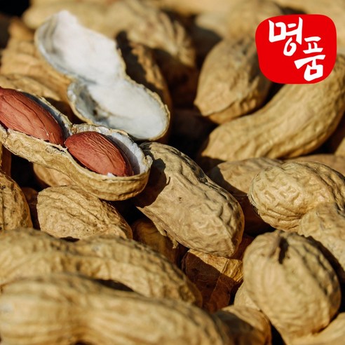 24년첫수확 국내산 햇땅콩 생땅콩 피땅콩, 1개, 1kg