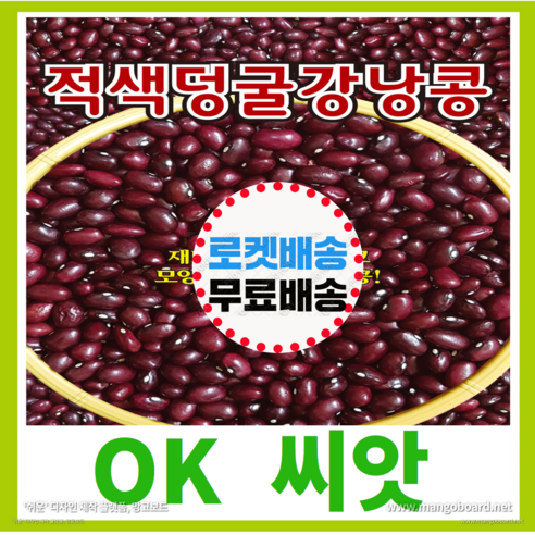 [OK씨앗] [적색덩굴강낭콩] 강낭콩씨앗 종자(오케이씨앗), 30g