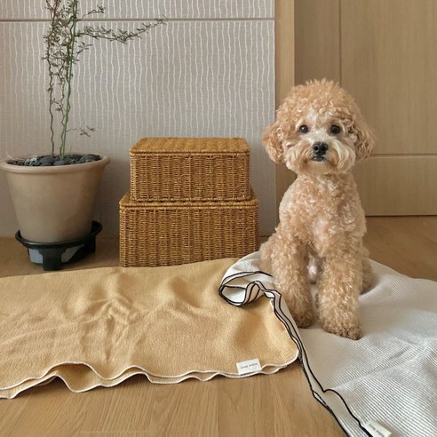 강아지이불 애견 펫 켄넬담요 거즈블랭킷, 샌드베이지, 1개
