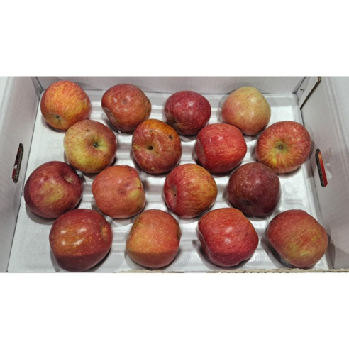 사과로 만드는 주스를 위한 사과 구매 안내 사과10kg 사과로 만드는 주스를 위한 사과 구매 안내 사과10kg