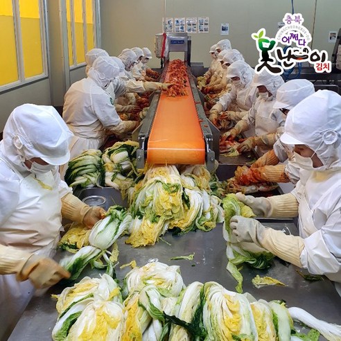 못난이 속에 숨겨진 깊은 맛, 100% 국내산 동심 포기김치