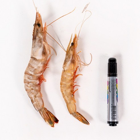 국내산 100% 자연산 대하: 식도락과 건강의 절묘한 조화