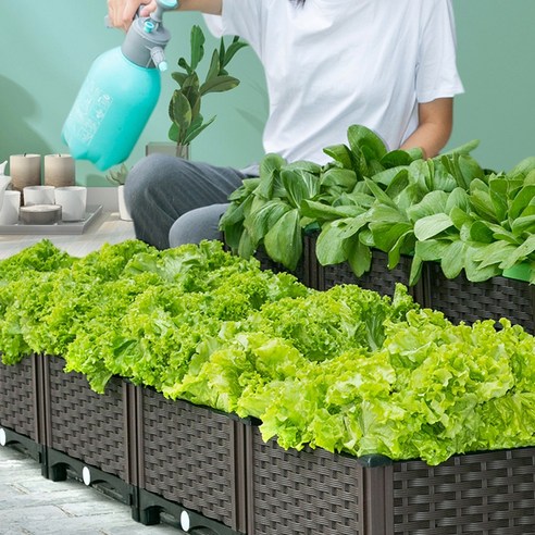 닷드 베란다 미니 텃밭 플랜트 박스 화분은 채소와 과일을 키울 수 있는 화분입니다.