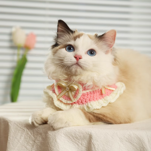위드어스 담다 손뜨개 리본 케이프 강아지 고양이 스카프, 1개, 핑크