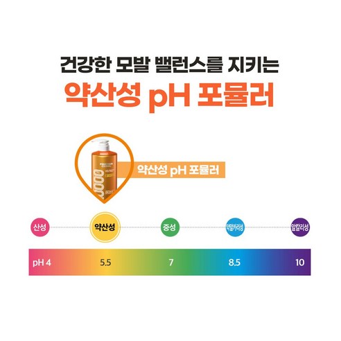 손상된 모발을 위한 필수 솔루션, 엘라스틴 프로틴클리닉 고영양 샴푸