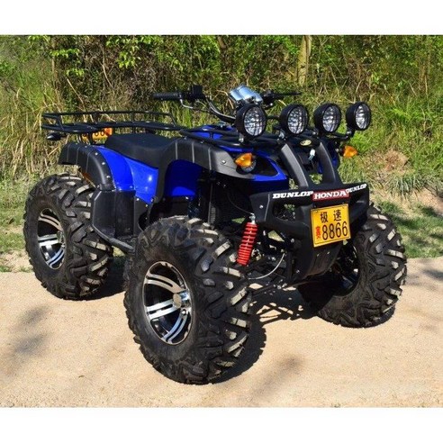 125cc 150cc 200cc 250cc ATV 4륜 오프로드 사륜 사발이 화물 액티비티 가솔린 자동 변속기, 빅불 패키지 2