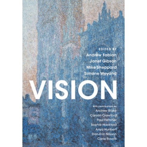 Vision Paperback, Cambridge University Press, English, 9781108931021