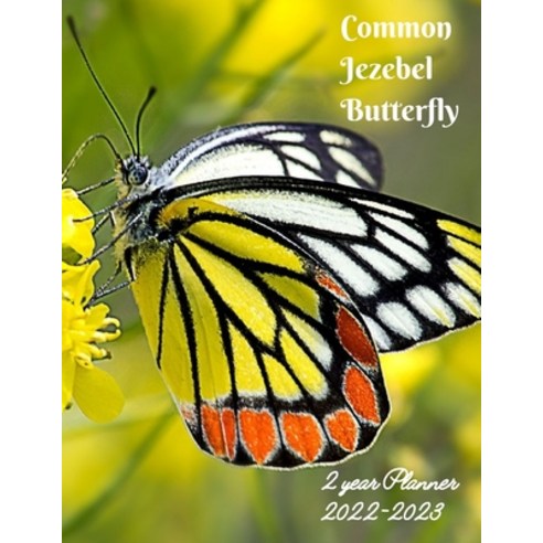 (영문도서) Common Jezebel Butterfly 2022-2023 2-Year Planner: With June - December 2021 Monthly Spread I... Paperback, Independently Published, English, 9798515913304